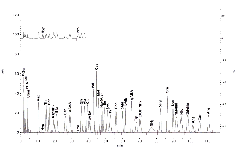 氨基酸分析案例2