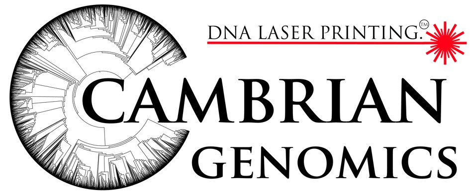 飽受爭議的DNA激光打印，激發創造新生物的可能性