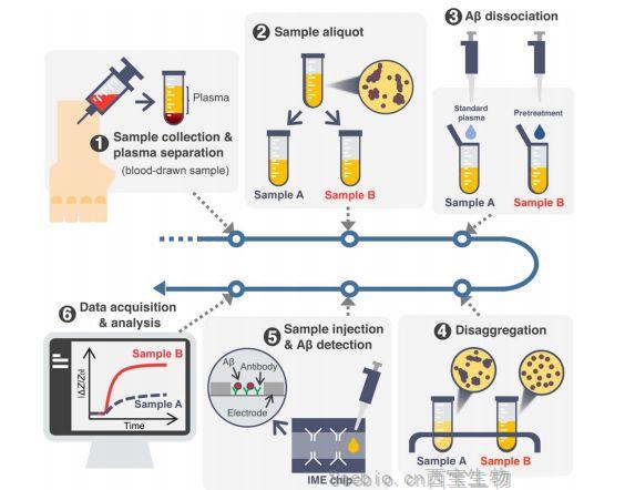 Science子刊：開發一種用于阿爾茨海默早期診斷癥的血液測試