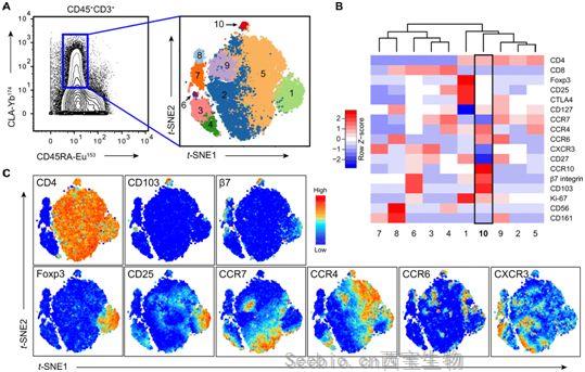 Science子刊：挑戰常規！人皮膚組織駐留記憶T細胞能夠遷移到<font color='red'>血液</font>中