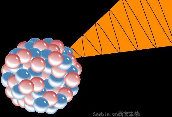 Cell Stem Cell：警惕！低劑量的<font color='red'>輻射</font>有利于具有癌變能力的細胞生長增殖！