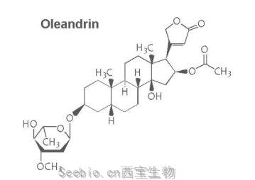 JAA：夾竹桃苷或可有效治療HTLV-1病毒感染