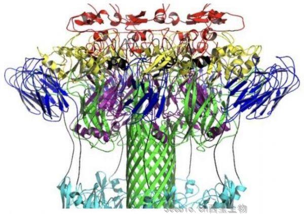 PNAS：科學家有望開發出治療艱難梭菌感染的新型藥物療法