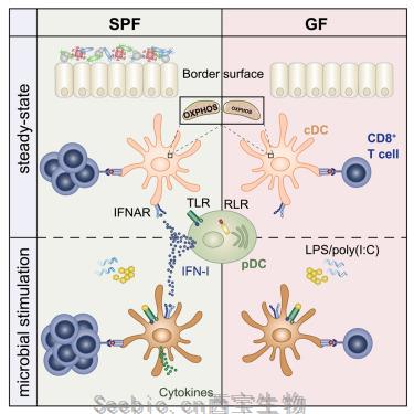 Cell重磅！微生物控制著免疫系統(tǒng)的健康！