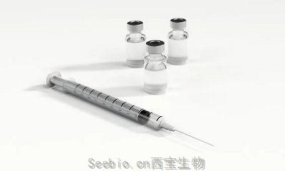 Vaccines：研究揭示SARS-coV2疫苗新靶點