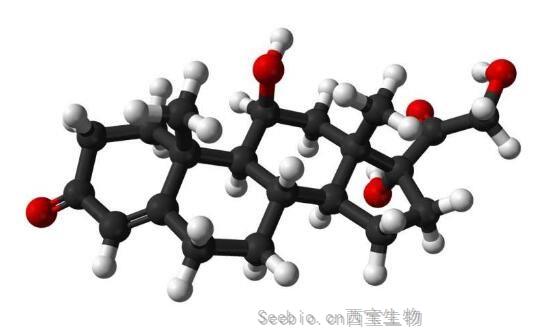 J Neurosci：<font color='red'>壓力</font>為何會造成人類不孕不育的發生？大腦中的RFRP神經元或許是關鍵！