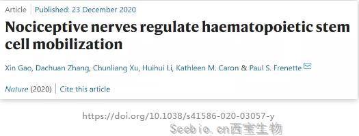 神奇！Nature：吃辣竟可動員你的造血干細胞，或有助于治療血液疾病