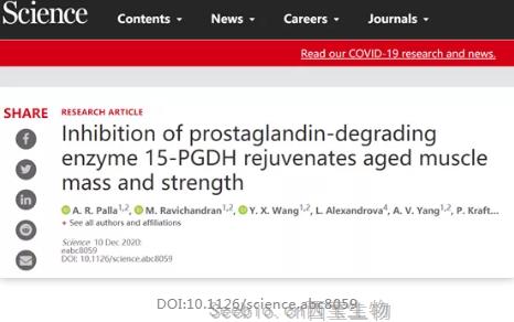 Science重磅揭示：抑制這種分子，或可逆轉肌肉衰老