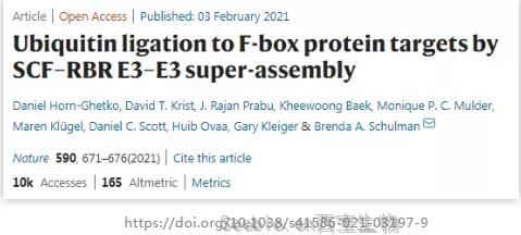 史無前例！Nature：全球首次可視化抗腫瘤機制，揭秘 “E3泛素連接酶”抵御<font color='red'>癌細胞</font>的全過程