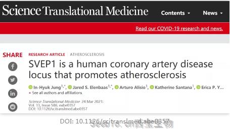 Science子刊：獨立于膽固醇的遺傳因子SVEP1，或是人類心腦血管代謝疾病的源頭！