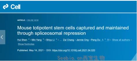 北大科學(xué)家發(fā)Cell頂刊：通過(guò)剪接體抑制劑可使小鼠產(chǎn)生<font color='red'>全能干細(xì)胞</font>