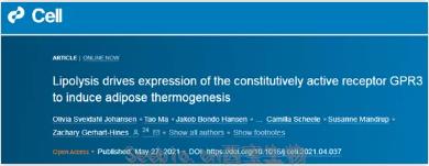 Cell突破：吃貨大軍感動(dòng)哭！科學(xué)家找到一條新的燃脂通路，具有持久生效潛力