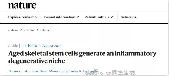 《Nature》重磅！衰老的骨骼干細胞會延緩骨折愈合,并促進炎癥發展加速全身衰老！