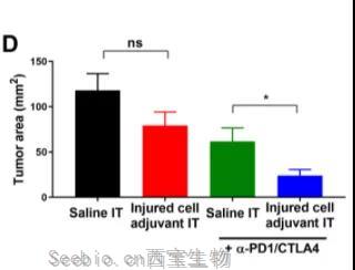 Science子刊：為免疫系統(tǒng)提供“叫醒服務(wù)”或可有效清除體內(nèi)腫瘤！