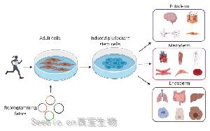 基于DNBelab C4和DNBSEQ測序技術，中科院、華大研究院等在單細胞領域重大突破在Nature發表