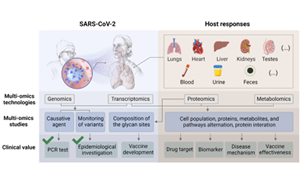 COVID-19的多組學(xué)研究：照亮被忽視的角落