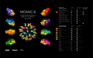 Science重磅！新一代納米疫苗即將問世，可免疫8種<font color='red'>冠狀病毒</font>，預防未來變體