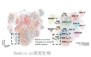 Science子刊最新研究找到了<font color='red'>新冠病毒</font>令人失去嗅覺的關鍵原因