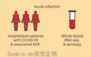 Nature Medicine：COVID-19幸存者一年后<font color='red'>血液</font>基因表達(dá)變化