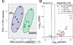 Science Immunology兩篇重要論文：解決癌癥免疫領域長期面臨的挑戰