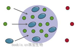 Cell新論文：基因調控關鍵機制