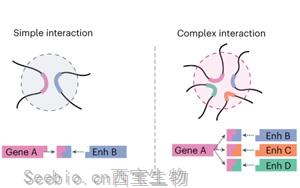 Nature Methods：研究復雜基因組相互作用