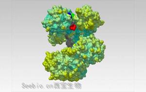 Nature解開一種蛋白質，研發一種新的生物技術工具