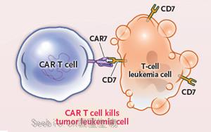 劃時代！首個堿基編輯CAR T療法挽救兩名白血病兒童生命