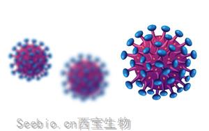 單細胞轉錄組學發現<font color='red'>HIV-1</font>體內宿主限制因子