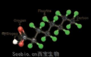 氟表面活性劑及其應(yīng)用  - 高穩(wěn)定，多功能，小用量，大效果