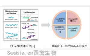 <font color='red'>聚乙二醇-脂質</font>（PEG-lipid）結構與性質