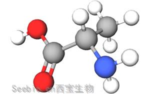 一個與血糖和<font color='red'>睡眠</font>有關的重要氨基酸