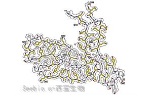 令人驚訝的蛋白質導致早期癡呆