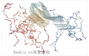 PNAS：一種新的檢測方法有望早期發現帕金森病