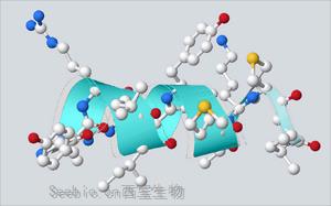 “繁花”盛開，細數<font color='red'>多肽藥物</font>的星辰大海