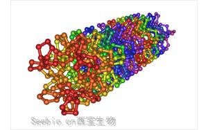 為什么減掉100斤，臉會(huì)“垮掉”？聊聊膠原蛋白的“神奇”功效