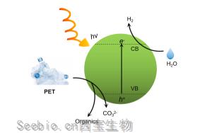 一種革命性的方法：<font color='red'>PET塑料</font>升級回收的突破性創新