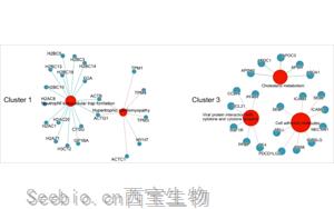 蛋白質組學研究發現重癥COVID-19的血漿標志物