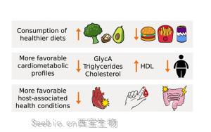 Cell：打破認(rèn)知！這種腸道生物不僅對人體無害，而且有助于健康