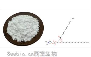 氫化卵磷脂功效及應用場景