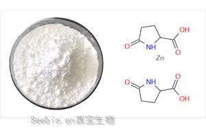 肌膚守護(hù)者吡咯烷酮羧酸鋅：保濕、控油、抗痘三合一