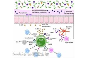 Nature顛覆傳統(tǒng)的觀點：狼瘡腎損傷的驚人機制