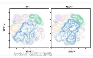 Nature打開了新的大門：一種免疫細胞調(diào)節(jié)因子可以減少<font color='red'>炎癥</font>