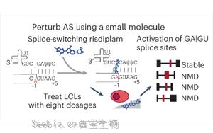 Nature Genetics：驚奇地發現<font color='red'>選擇性剪接</font>比蛋白質多樣性更能影響基因表達？