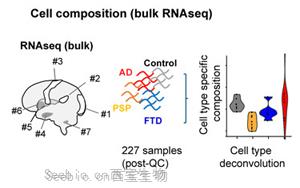 《Cell》各種形式癡呆具有哪些相同以及獨特的分子標記