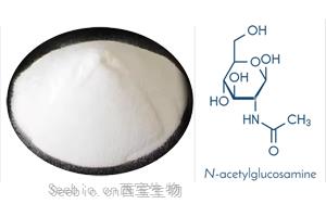 乙酰殼糖胺：自然界中的多功能氨基糖