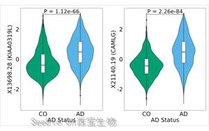 科學(xué)家發(fā)現(xiàn)了阿爾茨海默病檢測(cè)和治療的腦脊液標(biāo)志物