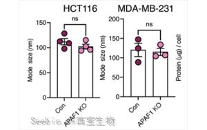 Nature Cancer：腫瘤細胞分泌的EV-DNA作為一種“危險”信號，促進抗轉移性免疫反應