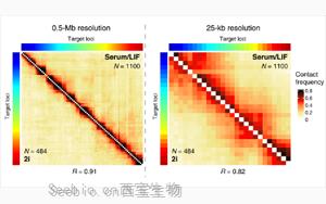 Science子刊：距離較遠的<font color='red'>DNA</font>區域之間的近距離接觸會引起基因活動的爆發！