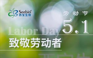 五一勞動節(jié)放假通知|致敬不凡 禮贊平凡